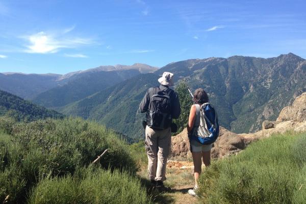 83年属猪后半生命运和财富