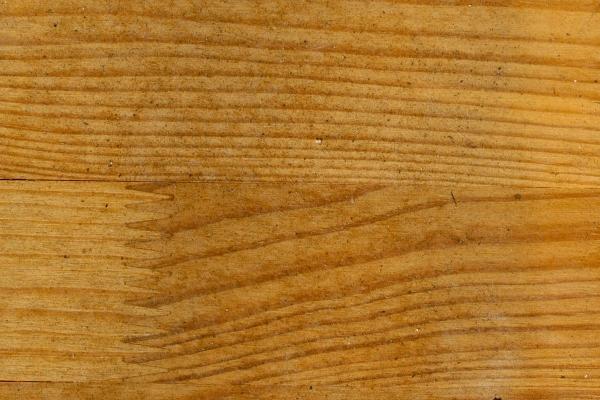 喜欢老婆待在家里的生肖男