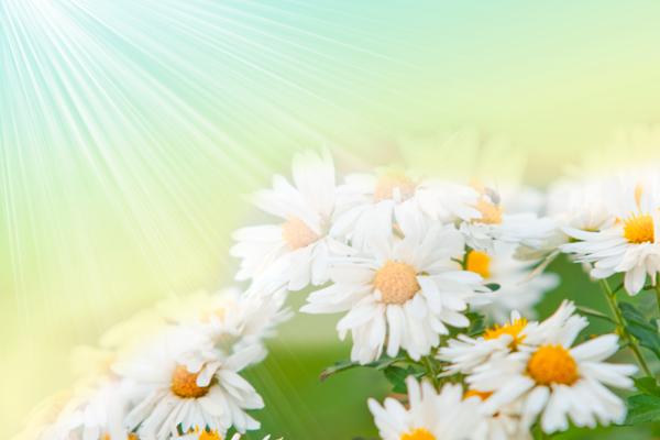 属龙发财的年份