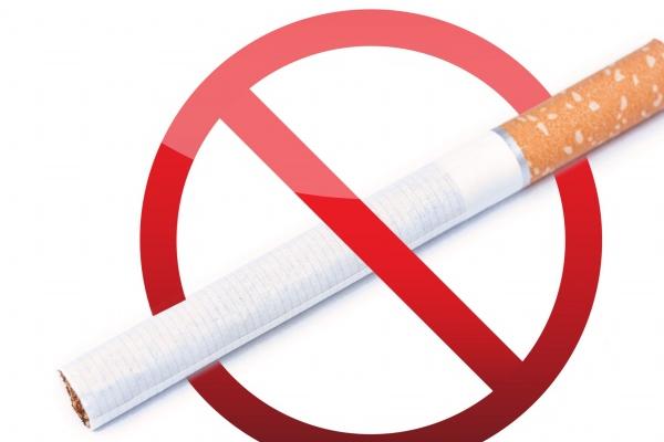 1984年属鼠的2026年怎么样