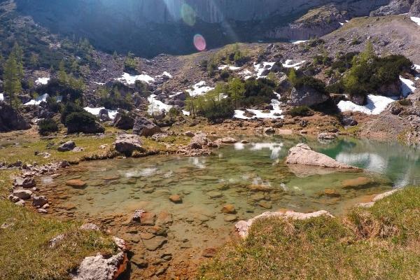 属狗男最心爱的女人是谁