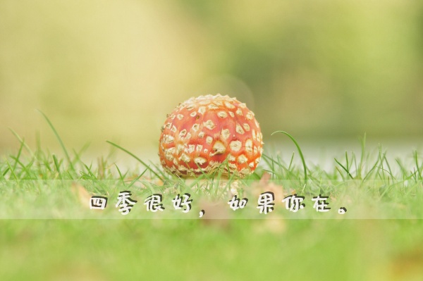 1983年属猪水命和什么相克