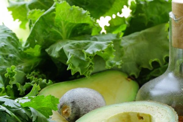 属鼠一碰就发财的专业