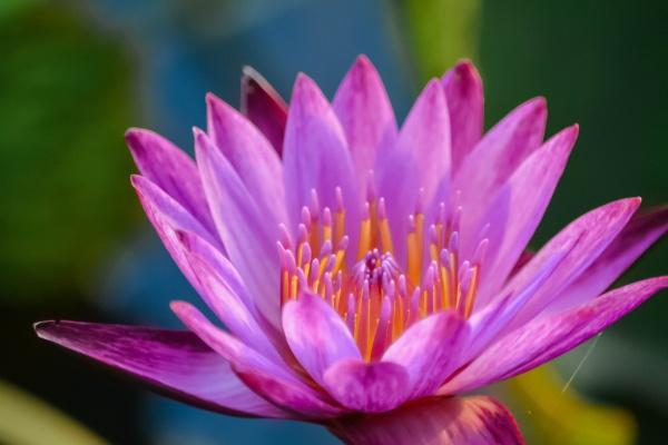 属猴离不开三个贵人