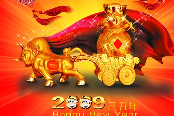 属猪一碰就发财的专业