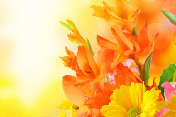 70年属狗人注定的婚姻