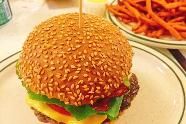 属鸡的人学什么专业最好