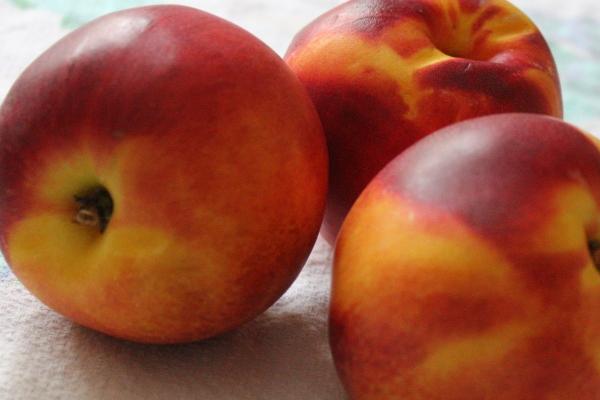 属龙人连续4年都犯太岁吗