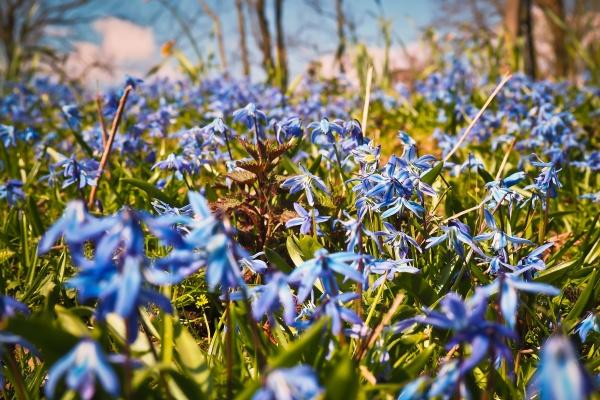 属羊的不能带的三样东西