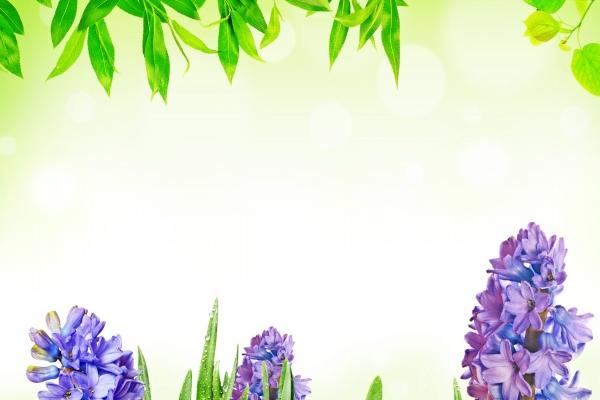 83年女猪最旺属啥的生肖