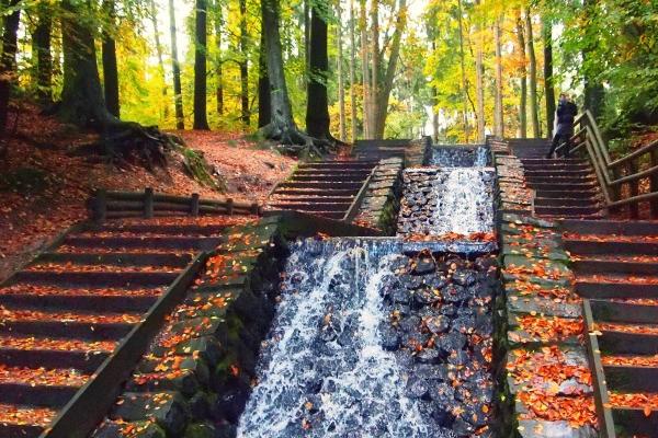 九紫离火运对属鼠的好不好