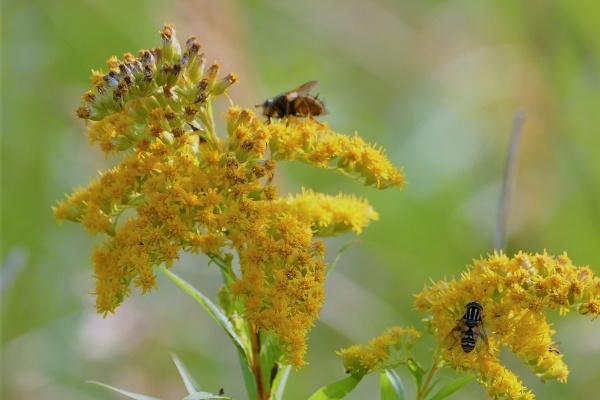 属兔人2024年婚姻怎样,属兔人今年感情运势