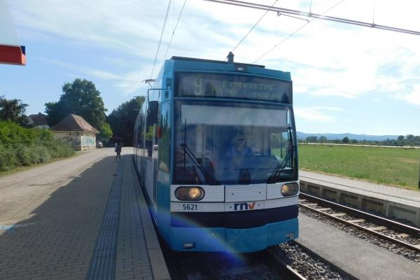 92年猴哪年有添丁之喜