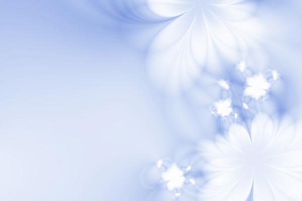 属虎人2025蛇年运势如何