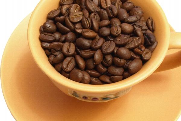 92年猴一生有几个儿子