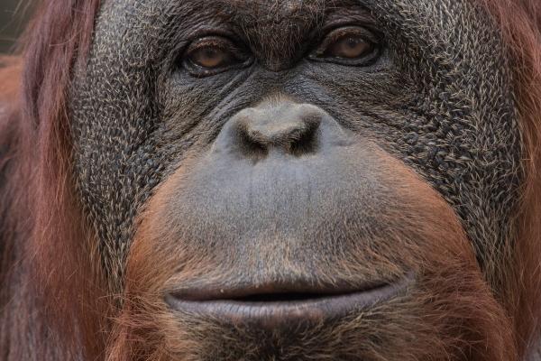 01年的蛇女正缘是哪一年