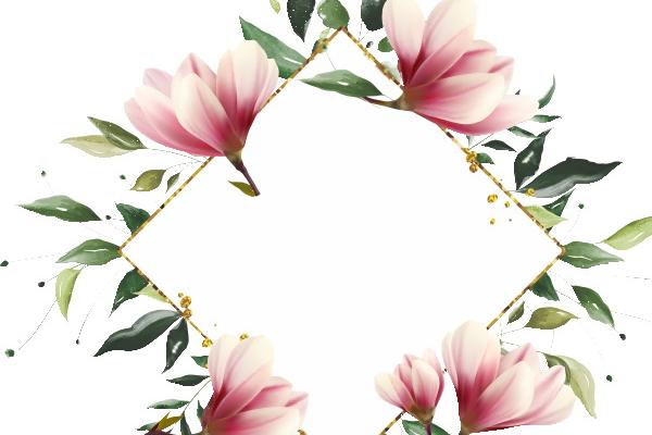 2025属猪人什么颜色最旺