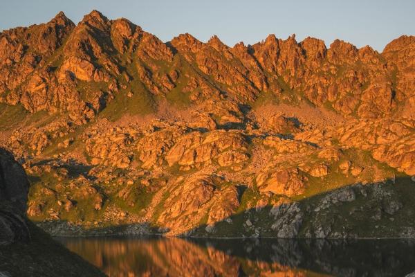 2025属猪1983年生人的运势和财运