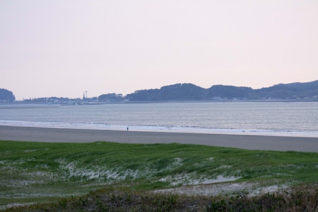 属鼠人2025年每月运势完整版