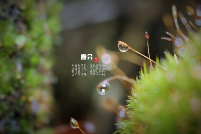 82年狗2025的贵人是谁