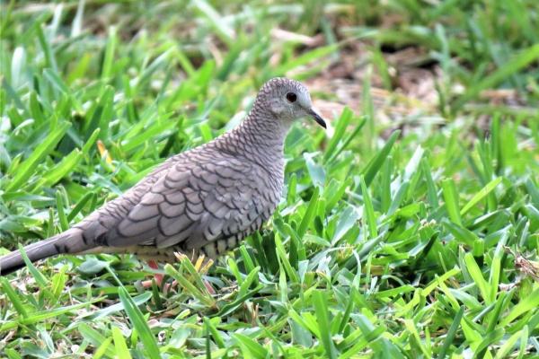 65年属蛇人躲不过60岁的人