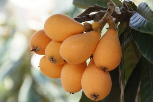 属兔人不宜购买的楼层