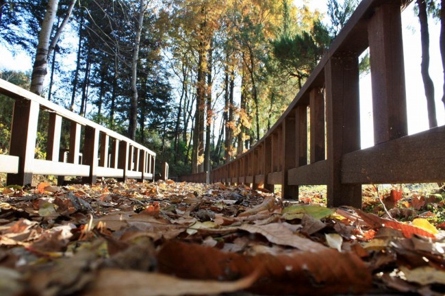 属猪人2025年不能去哪些地方