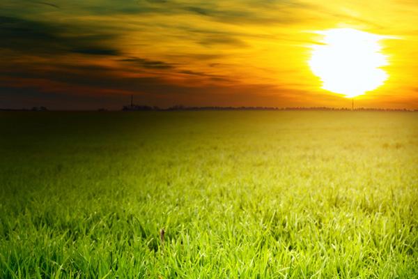 83年属猪42岁大劫女命