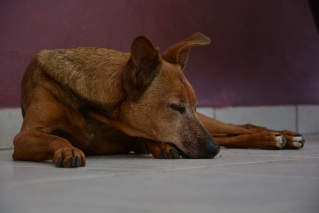 96男在2025每月运程