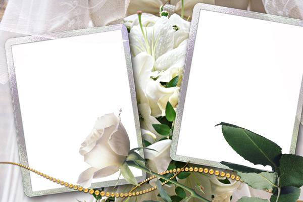 81属鸡人的灾难年龄