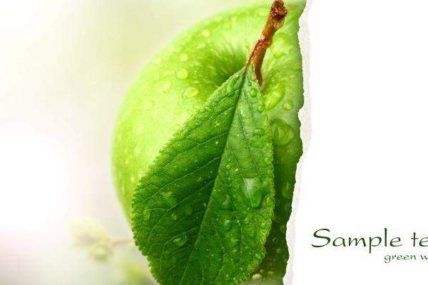 83年的猪可以生2026的宝宝吗