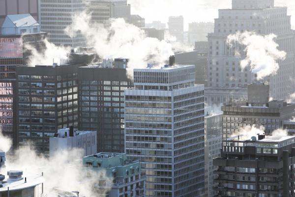 2025年属鼠人的运势如何