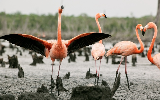 属马的过了35岁就顺了