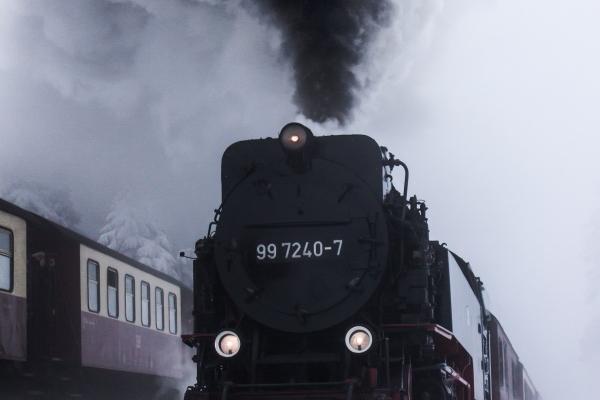 最旺属狗的摆件