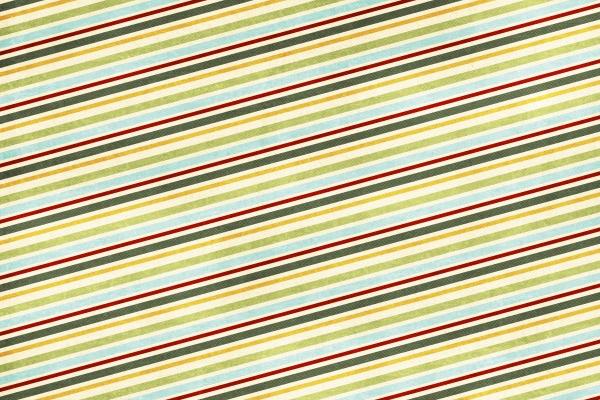 1996年鼠年属什么的命