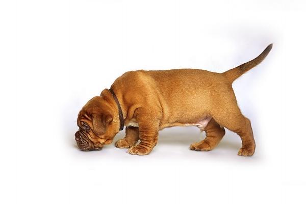 1972年属鼠女最后一劫