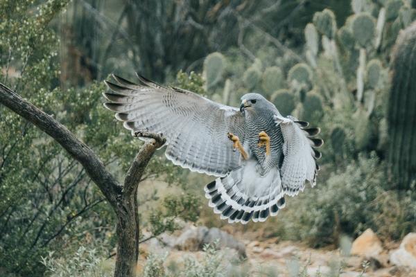 属狗的人坏朋友有哪些
