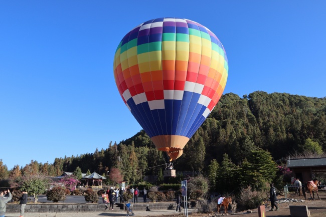 属羊的终身贵人是谁