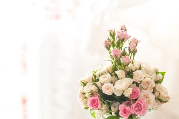 属鼠的人命好不好