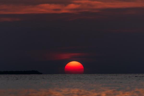 1983年猪二婚是姐弟恋吗