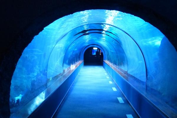 属鼠脖子戴什么最好