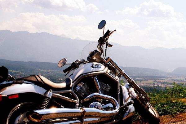 1983年属猪的考试运