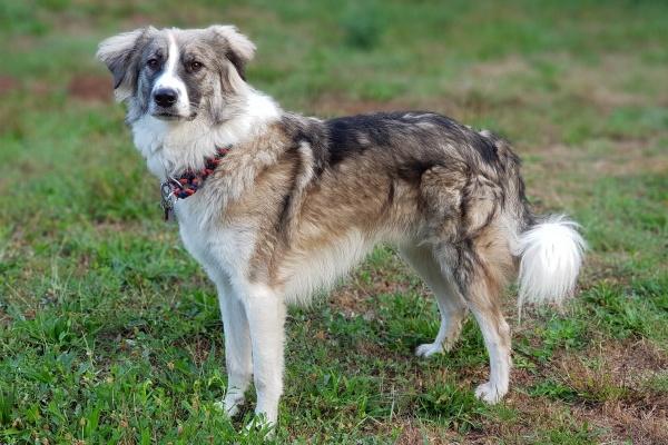 属龙一碰就发财的专业