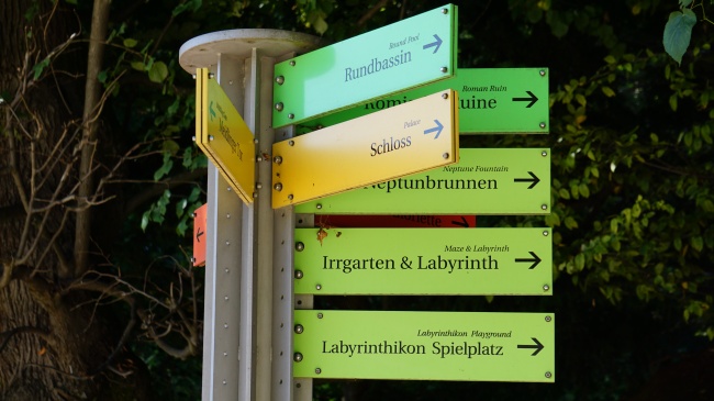 属鼠的遇上什么年运气最好