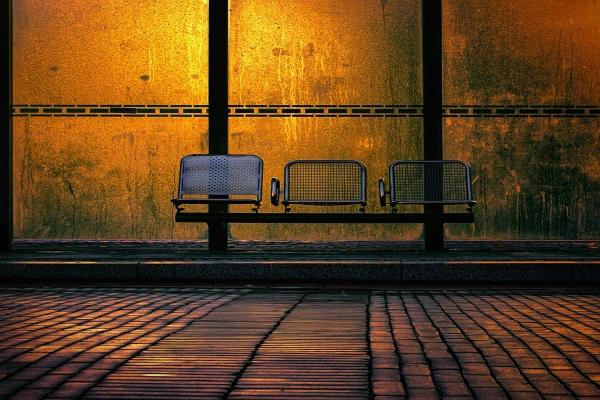 羊的最佳四个贵人是谁