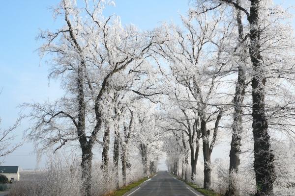 68属猴过了56是分水岭