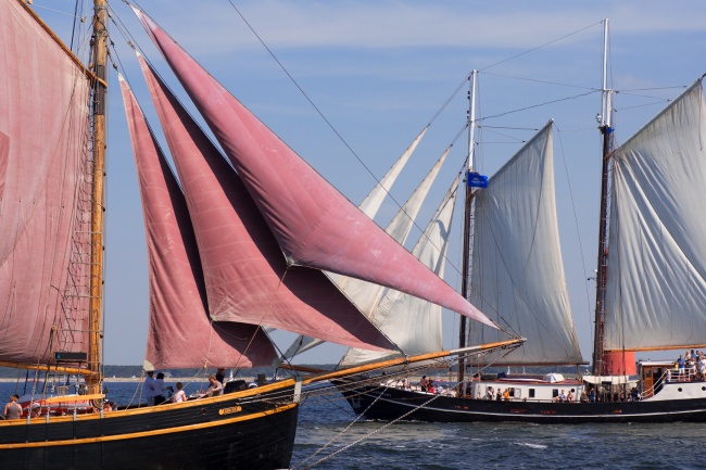 2025属鼠人什么颜色最旺