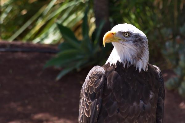 相亲吉日2025年4月