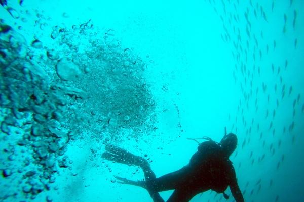 满月酒吉日2025年4月