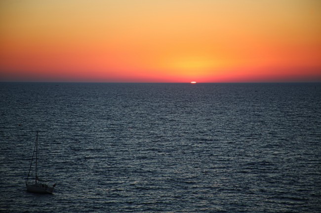 82年属狗人2025年运势